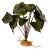 BESPORTBLE Realistic Plant Decor for Reptiles and Fish view 1