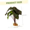 BESPORTBLE Realistic Plant Decor for Reptiles and Fish view 4