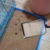 Metal Cat Litter Scoop view 2