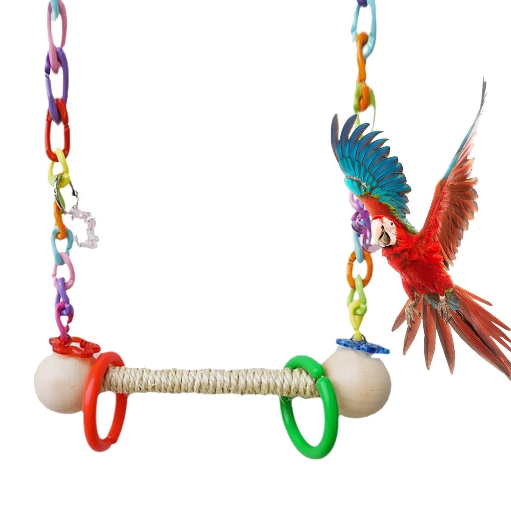Parrot Swings and Perches