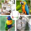 Parrot Swings and Perches view 4