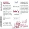 BioProphyl | Daytime Skin Regimen | Silicon | 60 High-Dose Capsules view 2