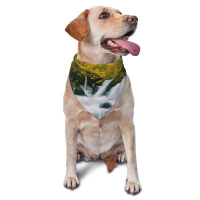 Autumn Creek Large Washable Adjustable Dog & Cat Bandana