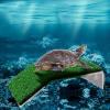 usefulbeauty Turtle Basking Dock view 2