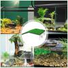 usefulbeauty Turtle Basking Dock view 4
