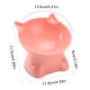Elevated Cat Bowl view 2