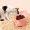 Elevated Cat Bowl view 4