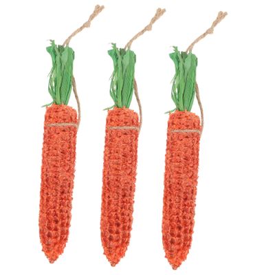 BESPORTBLE 3-Piece Carrot-Shaped Chew Toy for Small Pets