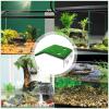 Large Floating Turtle Basking Dock view 4