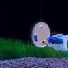 Mllepjdh Betta Training Fish for Aquariums, 5/6/7 cm, Floating Betta Toy view 2