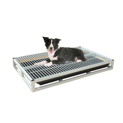 Dog Toilet, Training Pad for Small Dogs