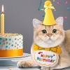 Cat Birthday Costume Set view 3
