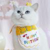 Cat Birthday Costume Set view 4