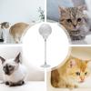 Spring Cat Treat Ball – Feather Teaser for Interactive Play view 4