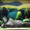 Mllepjdh Buddha Statue Aquarium Ornament view 3