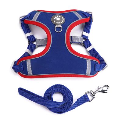 HANGSU Cat Harness Set with Leash for Controlled Freedom - Soft, Comfortable, Adjustable, and Durable - Harness for Active Cats (Blue)