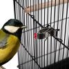 Hanging Bird Feeder Station, Bird Feeder Station, Bird Cage view 4