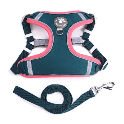 HANGSU Cat Harness Set with Leash for Controlled Freedom - Soft, Comfortable, Adjustable, and Durable - Harness for Active Cats (Orange)