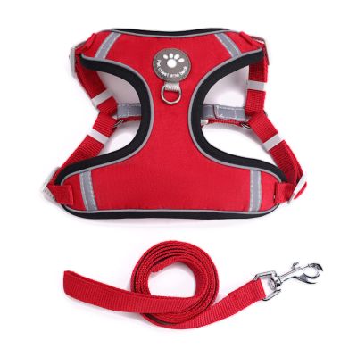 HANGSU Cat Harness Set with Leash for Controlled Freedom – Soft, Comfortable, Adjustable and Durable (Red)