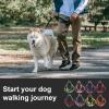 HANGSU Cat Harness Set with Leash for Controlled Freedom – Soft, Comfortable, Adjustable and Durable (Red) view 2