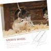 WOONEKY Quiet White Iron Hamster Wheel with Non-Slip Surface view 3