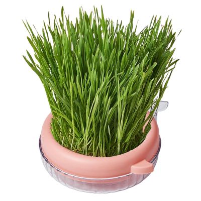 Monozoz Cat Grass Planter