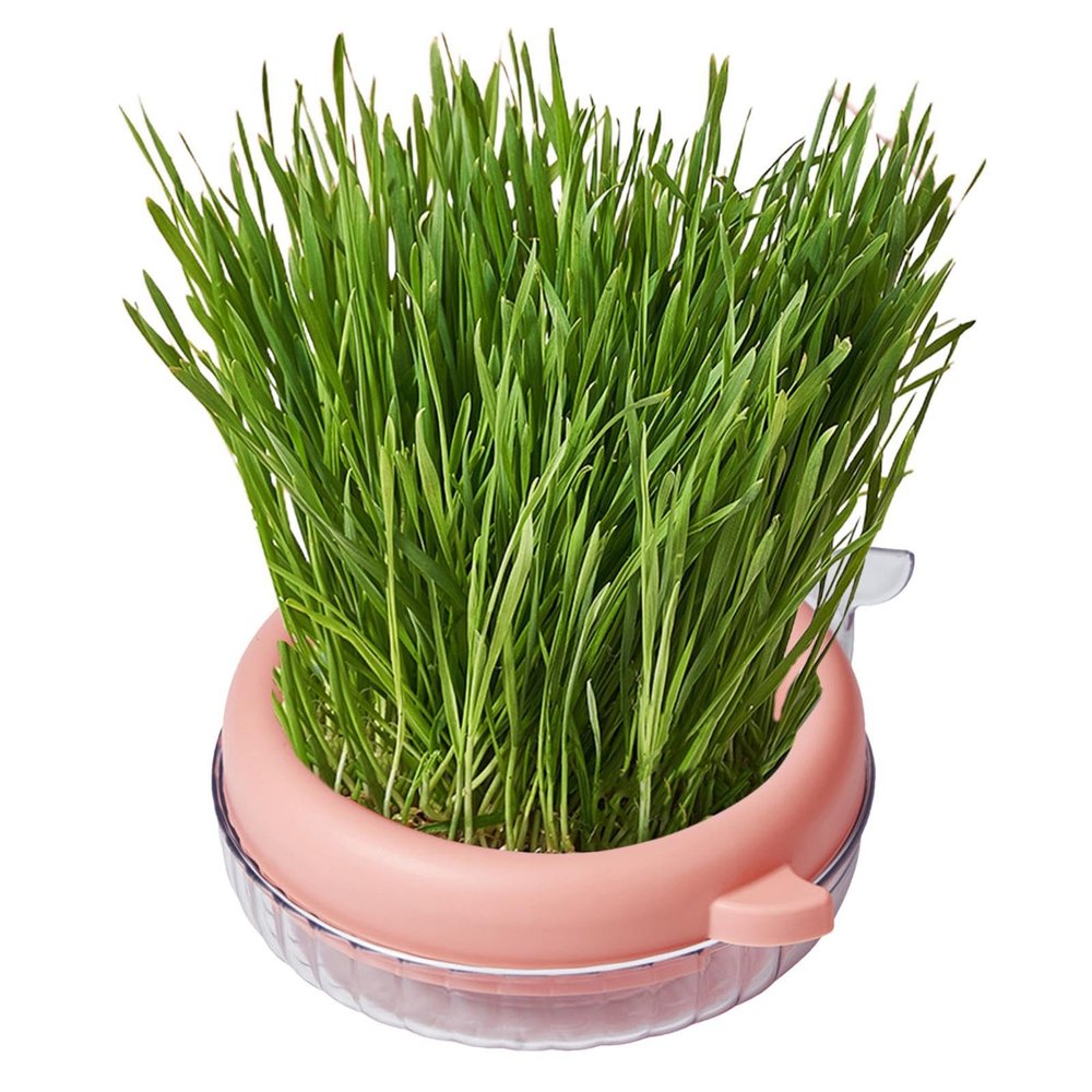 Monozoz Cat Grass Planter