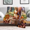 Squirrel Blanket, Cozy Couch Throw, Warm Super-Soft Fleece Blanket 130 x 180 cm view 2