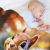 Squirrel Blanket, Cozy Couch Throw, Warm Super-Soft Fleece Blanket 130 x 180 cm view 4