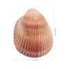 Hohopeti Large Natural Aquarium Decoration view 4