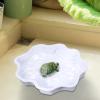 Large Reptile Turtle Bath and Food Bowl with Ramp view 3