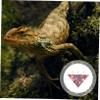 ORFOFE Lizard Hammock Swing Toy view 2