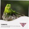 ORFOFE Lizard Hammock Swing Toy view 3