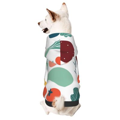Dog Hoodie with Colorful Doodle Fruit and Vegetable Prints