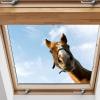 Realistic Horse Wall Decals – Wild Horse Peel-and-Stick Farm Window Stickers view 2