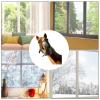 Realistic Horse Wall Decals – Wild Horse Peel-and-Stick Farm Window Stickers view 4
