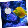Parliky Betta Mirror for Aquariums view 4