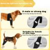 Opilroyn Dog Leg Brace, Comfortable Support for Postoperative Recovery view 4