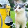 Travel Water Dispenser for Pets view 3