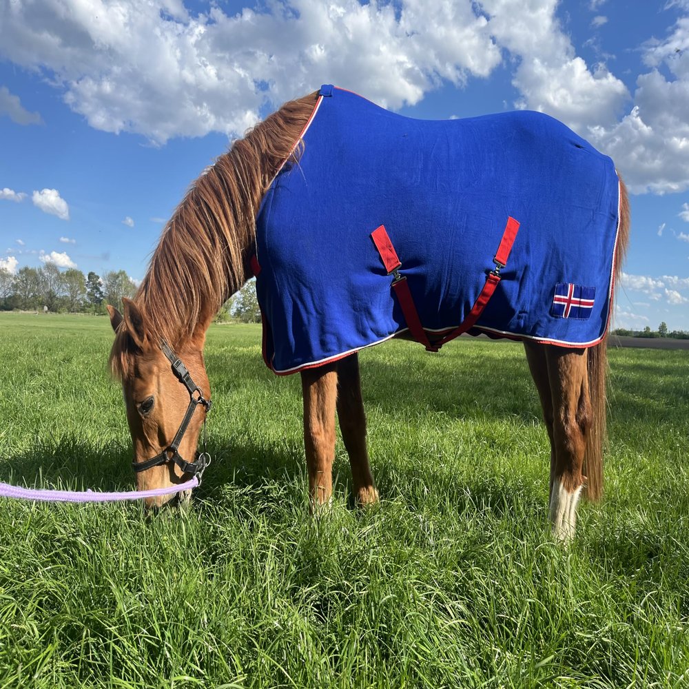Brama-West Skandi Horse Cooler Blanket, Basic Fleece, Breathable, Azzuro, Size 135