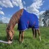 Brama-West Skandi Horse Cooler Blanket, Basic Fleece, Breathable, Azzuro, Size 135 view 2