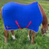 Brama-West Skandi Horse Cooler Blanket, Basic Fleece, Breathable, Azzuro, Size 135 view 4