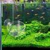Aquarium Shrimp Feeding Bowl with Tube and Suction Cup view 2