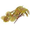 Parliky Artificial Reptile Plant with Suction Cup view 1
