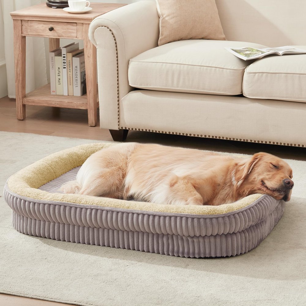 DEBANG HOME Orthopedic Dog Bed for Medium Breeds, High-Density Foam Sofa with Four-Sided Bolsters
