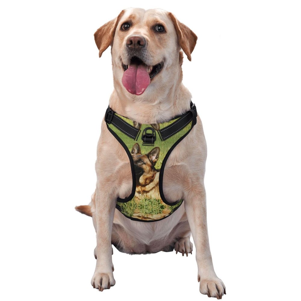 Dog Vest Harness with Chest Strap for Outdoor Use