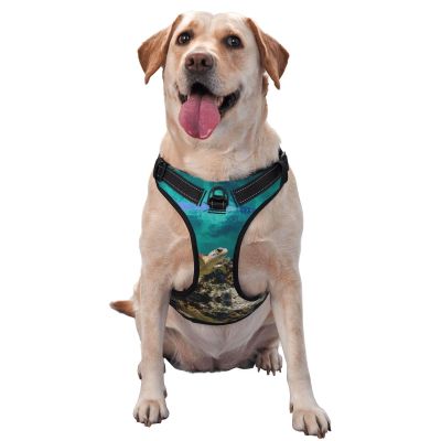 Sea Turtle Pet Traction Vest and Chest Harness