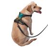 Sea Turtle Pet Traction Vest and Chest Harness view 3