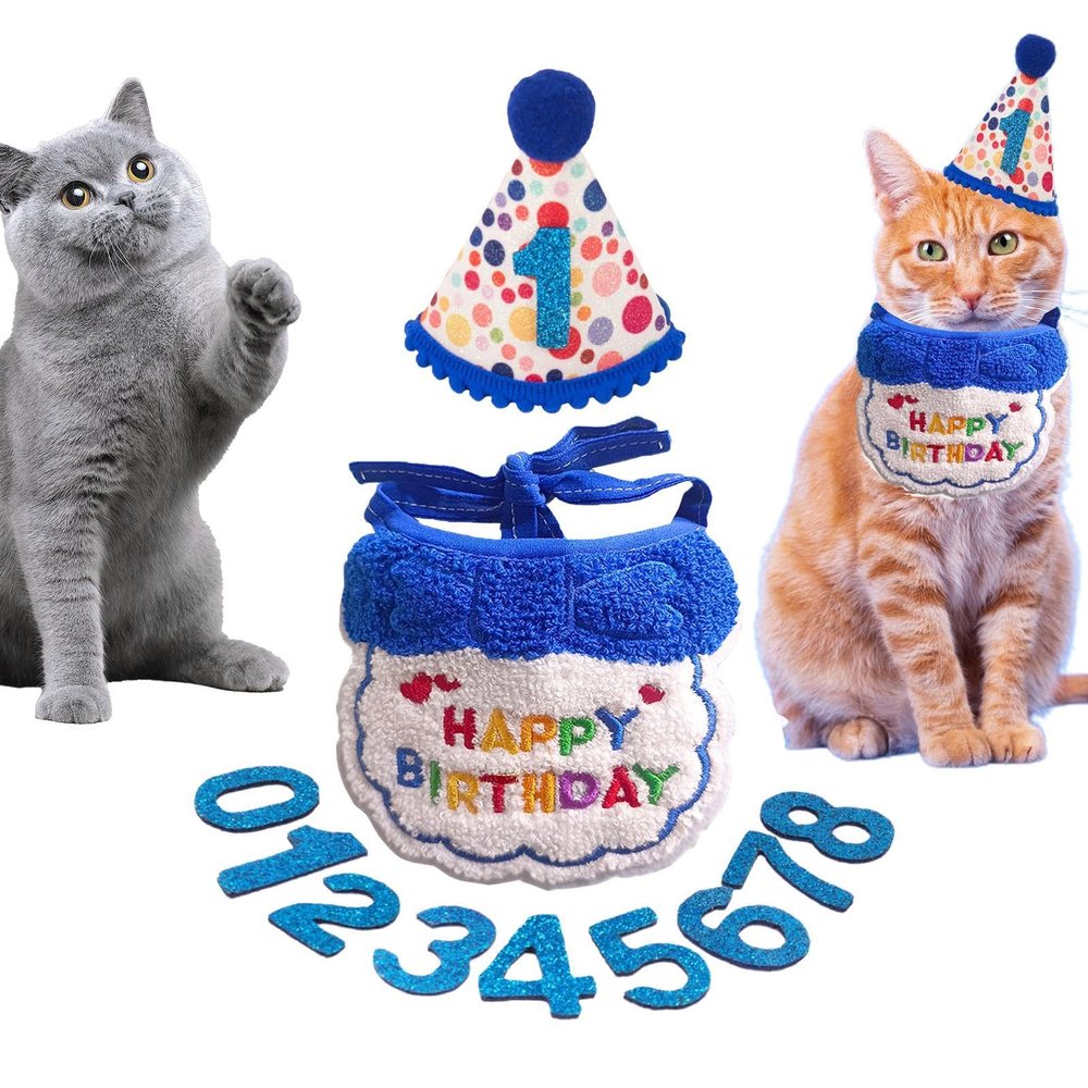 Monozoz Cat Birthday Costume