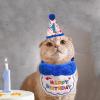 Monozoz Cat Birthday Costume view 2